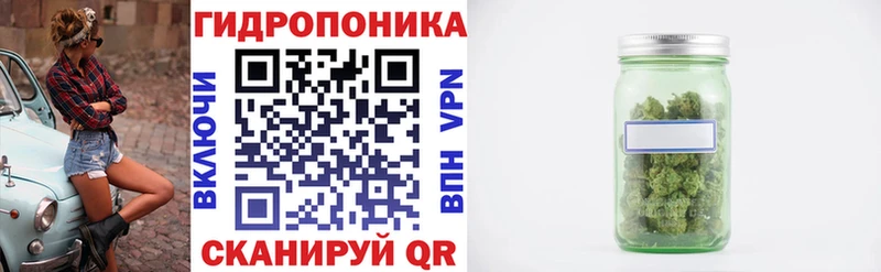 Бошки марихуана конопля  Купить  Зеленодольск 
